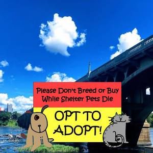 Meet your Posher, Ashlynne